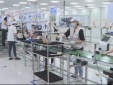Phát triển kinh tế tư nhân thành trụ cột trong thời kỳ mới