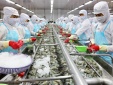 Nhiều doanh nghiệp áp dụng thành công tiêu chuẩn ISO 22000