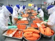 Áp dụng HACCP: Kiểm soát mối nguy an toàn, nâng cao chất lượng sản phẩm