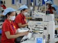 Doanh nghiệp Việt ngày càng chủ động áp dụng các công cụ cải tiến và hệ thống quản lý