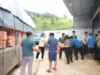 Tiếp tục hỗ trợ đến người dân bị ảnh hưởng bởi mưa lũ tại tỉnh Điện Biên