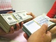 Giá đô la Mỹ trong nước biến động ngược chiều với giá thế giới