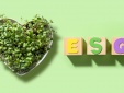 ESG – đòn bẩy mới cho doanh nghiệp Việt trên hành trình phát triển bền vững