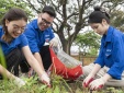 Hàng nghìn bạn trẻ nhập cuộc ‘Thử thách 21 ngày: Hành động Xanh - Chọn Tương lai Xanh’
