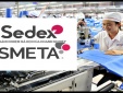 Từ tuân thủ đến cơ hội: Câu chuyện áp dụng Sedex-SMETA