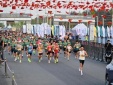 Cần Giờ lột xác thần tốc, đẹp mê hoặc trong ngày tranh tài VnExpress Marathon Green Paradise 2026