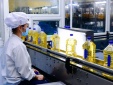 Tiêu chuẩn HACCP giúp doanh nghiệp giảm thiểu thấp nhất rủi ro về an toàn thực phẩm 