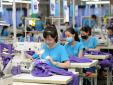 Áp dụng tiêu chuẩn và công cụ cải tiến thúc đẩy 'xanh hóa' doanh nghiệp 