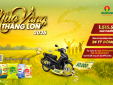 Bật mí Livestream thực cảnh đầu tiên của Mùa Vàng thắng lớn 2026