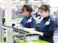 Hoàn thiện tiêu chuẩn, quy chuẩn, thúc đẩy xuất khẩu sản phẩm công nghệ số ra toàn cầu