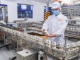 Trách nhiệm của tổ chức, cá nhân trong việc áp dụng quy chuẩn kỹ thuật 