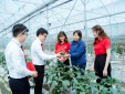 Hỗ trợ tối đa 80% chi phí cho doanh nghiệp nhỏ và vừa nâng cao năng suất, chất lượng sản phẩm