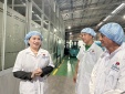 Góc nhìn thực tế về chuyển đổi xanh trong sản xuất