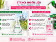 Etanol nhiên liệu được áp dụng cơ chế quản lý hàng hóa rủi ro trung bình