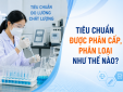 Tiêu chuẩn được phân cấp, phân loại như thế nào?