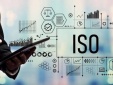 Doanh nghiệp nhỏ có nên áp dụng ISO?