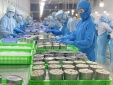 Tiêu chuẩn quốc gia hỗ trợ doanh nghiệp chinh phục thị trường halal