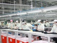 Phát huy vai trò của tiêu chuẩn, nâng cao năng lực cạnh tranh doanh nghiệp
