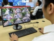 Giải pháp công nghệ của Viettel Solutions ghi dấu ấn tại sân chơi kinh doanh quốc tế