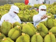 158.234 sản phẩm đã cập nhập vào hệ thống truy xuất nguồn gốc nông sản