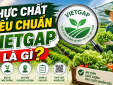 VietGAP: Không chỉ là 'tem rau sạch'