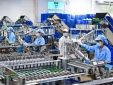Công bố tiêu chuẩn áp dụng: Minh bạch thông tin, nâng cao trách nhiệm doanh nghiệp