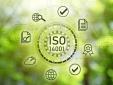 Sẵn sàng chuyển đổi ISO 14001:2026: 4 bước doanh nghiệp cần thực hiện