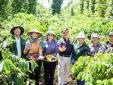Cúp Thánh Gióng 2026: Ghi nhận hành trình phát triển cùng Việt Nam của Nestlé