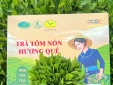 Từ sản vật quê hương đến giá trị OCOP: Khi bản sắc trở thành nguồn lực phát triển