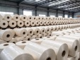 Gia hạn thuế chống bán phá giá sợi polyester, bảo vệ ngành sản xuất sợi trong nước