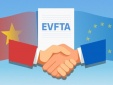VEFTA mở rộng không gian phát triển: Từ cơ hội thị trường đến nâng tầm doanh nghiệp Việt Nam