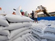 Tiêu chuẩn chất lượng góp phần nâng cao giá trị gạo xuất khẩu Việt Nam