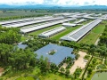 Khi báo chí trở thành cầu nối của chuyển đổi xanh