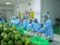 Từ tiêu chuẩn đến thị trường quốc tế: Hành trình nâng cao chất lượng hàng hóa