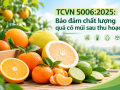 TCVN 5006:2025: Bảo đảm chất lượng quả có múi sau thu hoạch