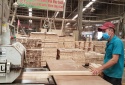 Tháo gỡ khó khăn cho doanh nghiệp ngành gỗ 