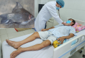 Mật cá éc có thể gây suy gan, suy thận tuyệt đối tránh dùng