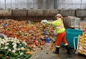 Giảm tổn thất và lãng phí thực phẩm - cuộc chiến đòi hỏi sự tham gia của toàn xã hội