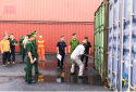 Hải Phòng phát hiện 6 container hàng kim loại 'đội lốt' gỗ ván ép để xuất khẩu trái phép