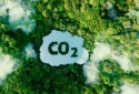 Nỗ lực trung hòa carbon trong sản xuất góp phần giảm phát thải nhà kính, chống biến đổi khí hậu