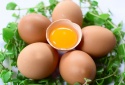 Phát hiện chất dinh dưỡng quan trọng trong trứng có khả năng chống lại ung thư