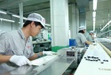 Bình Thuận: Xây dựng 12 mô hình hỗ trợ doanh nghiệp áp dụng tiêu chuẩn, công cụ cải tiến năng suất