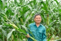 Tạo hệ sinh thái nông nghiệp bền vững: Không thể không làm để đến Net Zero