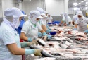 Giá thủy sản sụt giảm tác động đến xuất khẩu thủy sản Việt Nam