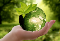 Sửa đổi tiêu chuẩn ISO 14001 hướng doanh nghiệp đến sự phát triển bền vững 