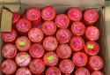 Mỹ phẩm trôi nổi len lỏi trên thị trường: Hơn 1.200 lọ bị thu giữ ở Nghệ An