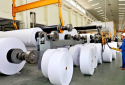 Áp dụng công cụ kiểm soát chất lượng thúc đẩy nâng cao năng suất, chất lượng sản xuất giấy