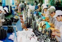 TFP trở thành trụ cột tăng trưởng năng suất trong giai đoạn mới 