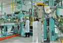 Doanh nghiệp Đồng Tháp thúc đẩy kinh tế tuần hoàn, nâng giá trị sản phẩm xanh bền vững