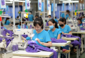 Áp dụng tiêu chuẩn và công cụ cải tiến thúc đẩy 'xanh hóa' doanh nghiệp 